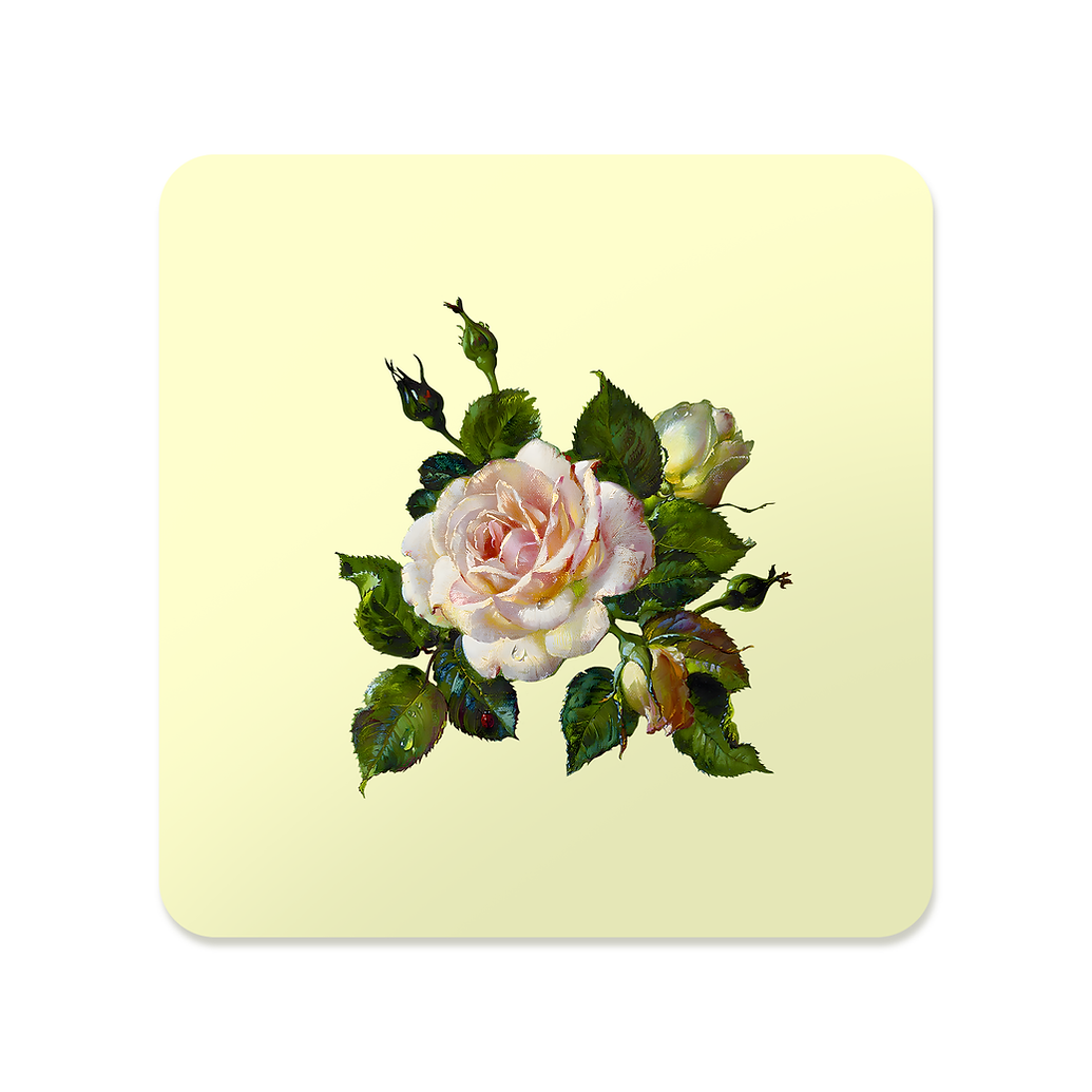 White Rose